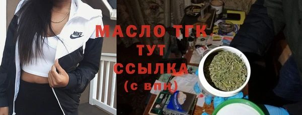 твердый Арсеньев