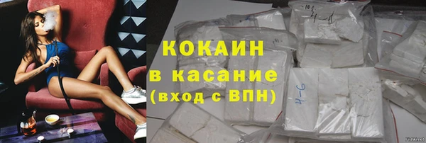 твердый Арсеньев