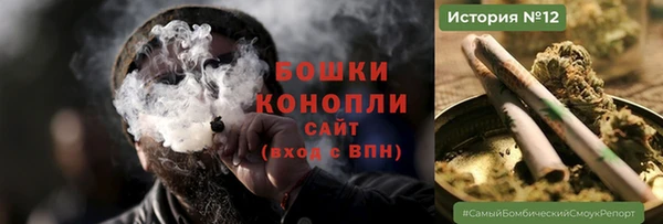 твердый Арсеньев