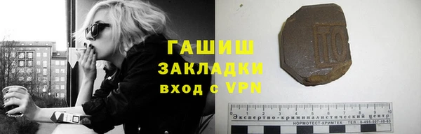 прущие грибы Аркадак