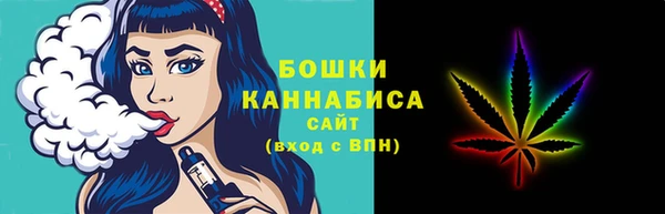 прущие грибы Аркадак