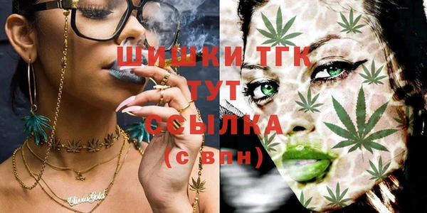 прущие грибы Аркадак