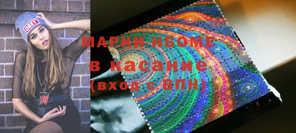 твердый Арсеньев