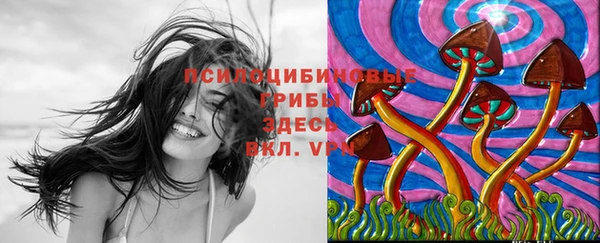 спайс Армянск