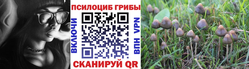 Галлюциногенные грибы Cubensis  хочу   Карабаш 